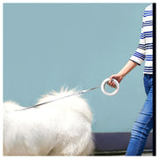 Smart Space Leash for Pets